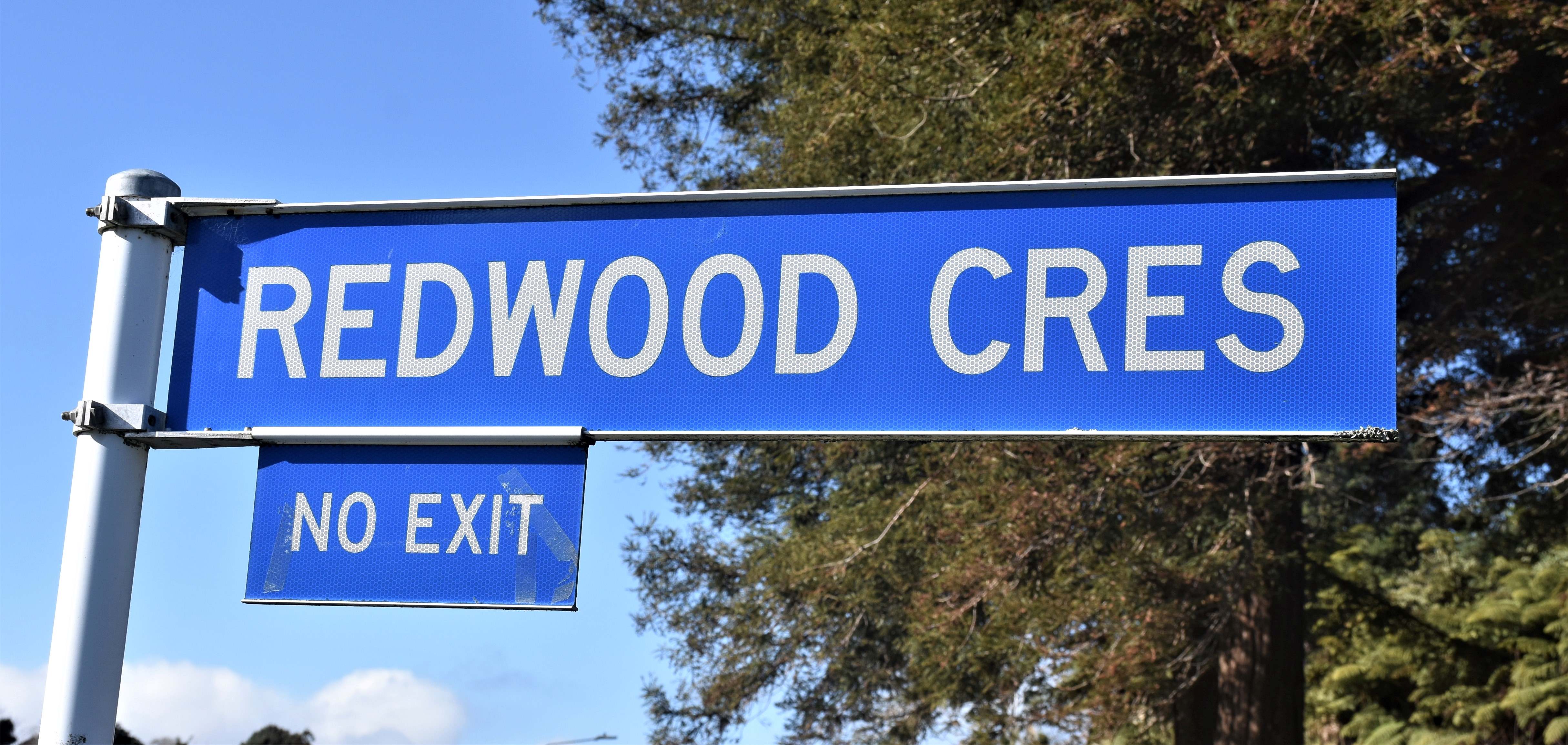 Redwood Crescent.jpg