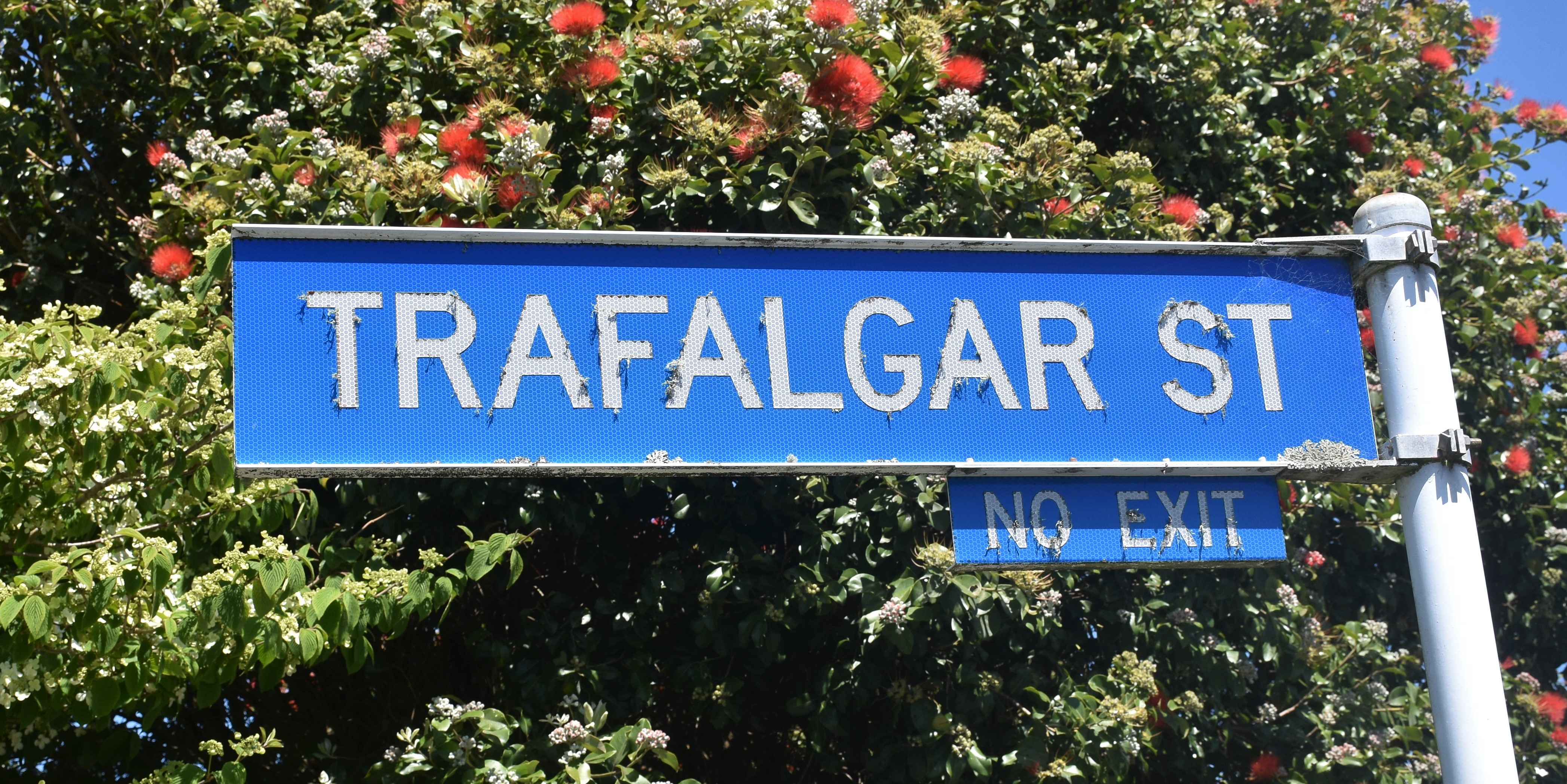 Trafalgar Street for web.jpg
