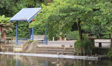 Pukekura_Park_Boat_Landing_and_Steps_2020.JPG