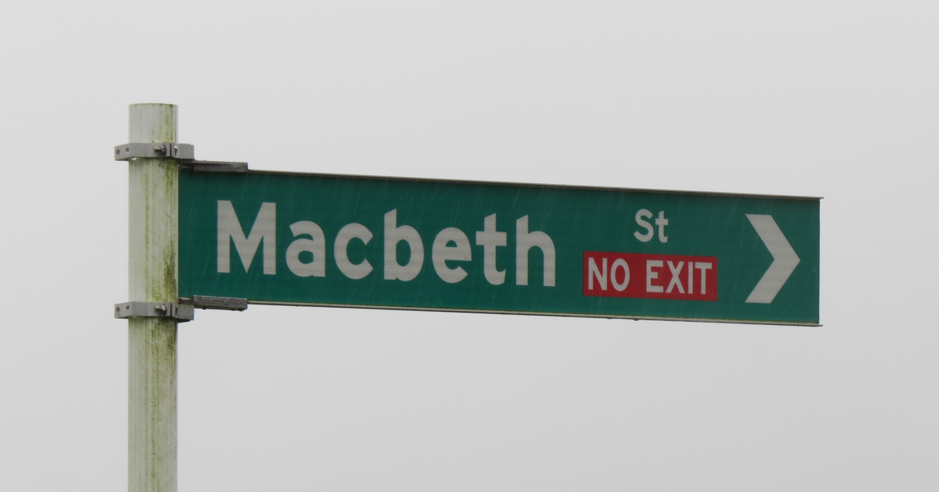 Macbeth Street sign (2024). Rachel Sonius. Word on the Street image collection.
