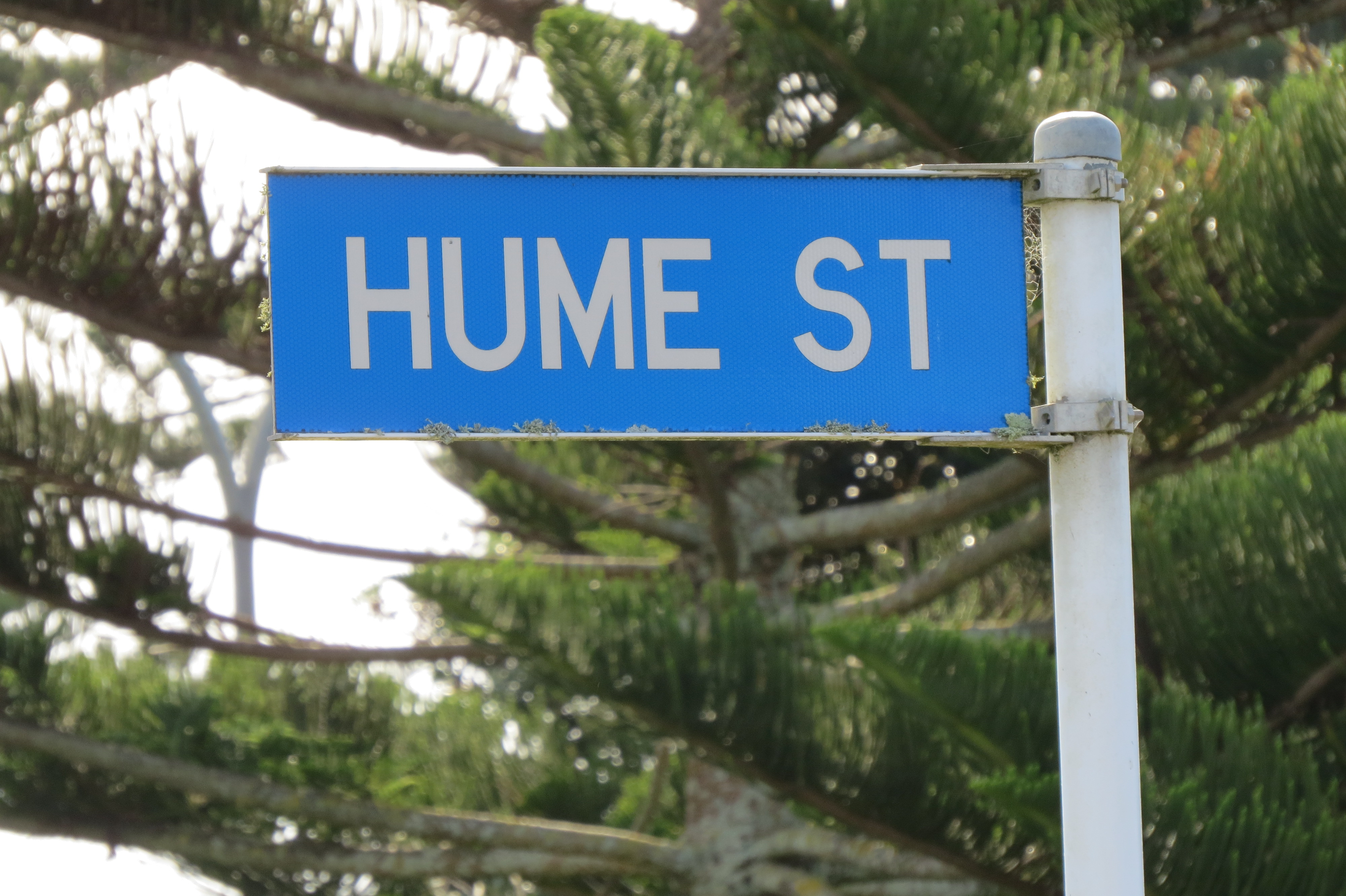 Hume Street sign (2019). Rachel Sonius. Word on the Street image collection.