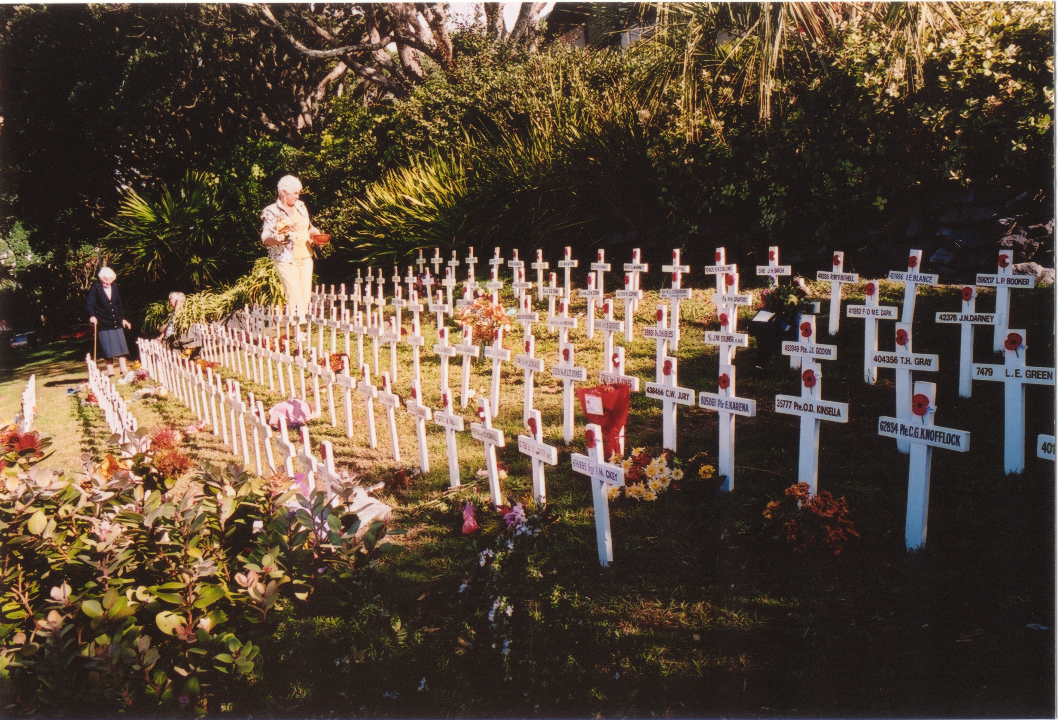 NP_RSA_Crosses.JPG