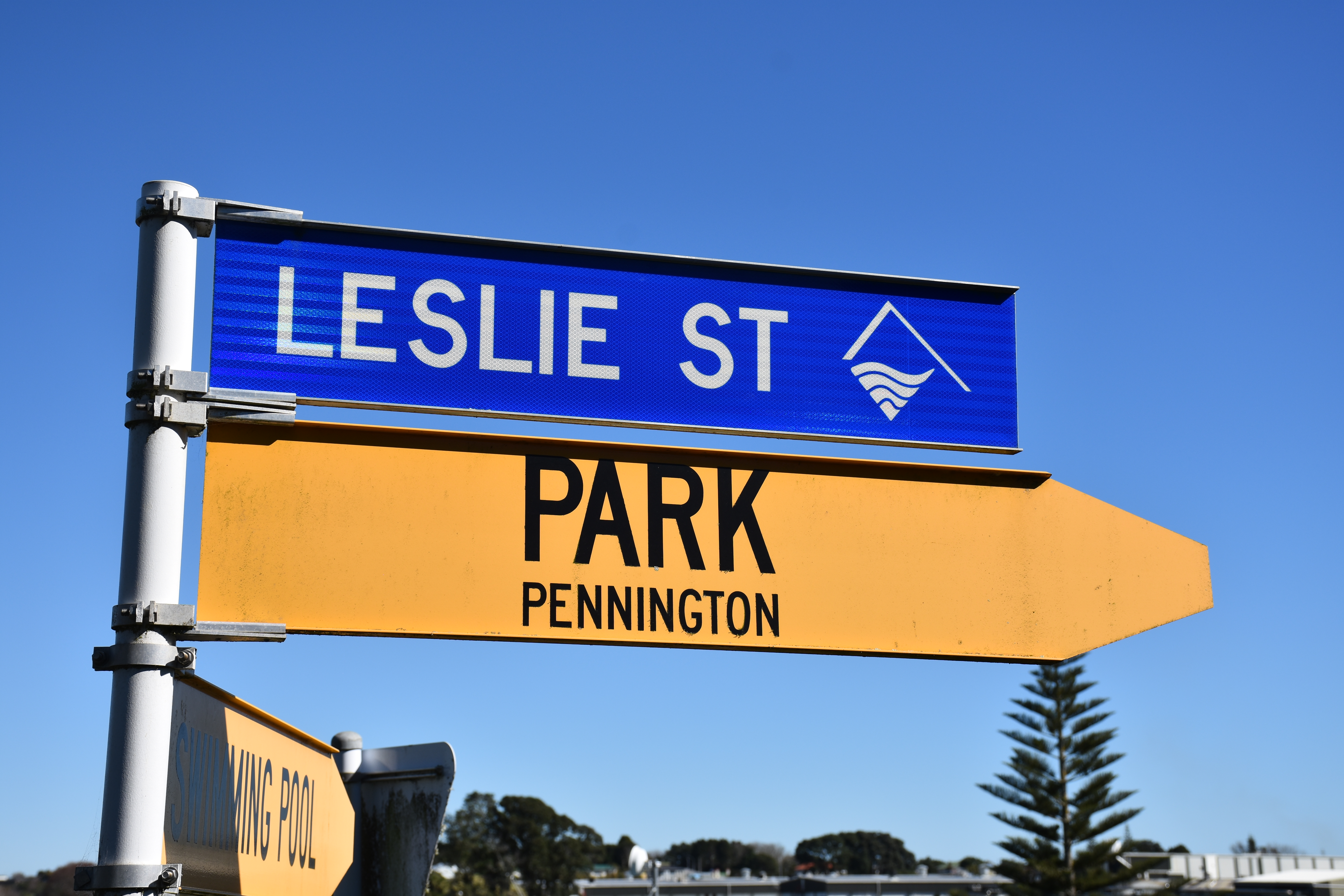 Leslie Street (2019). Rachel Sonius. Word on the Street image collection.
