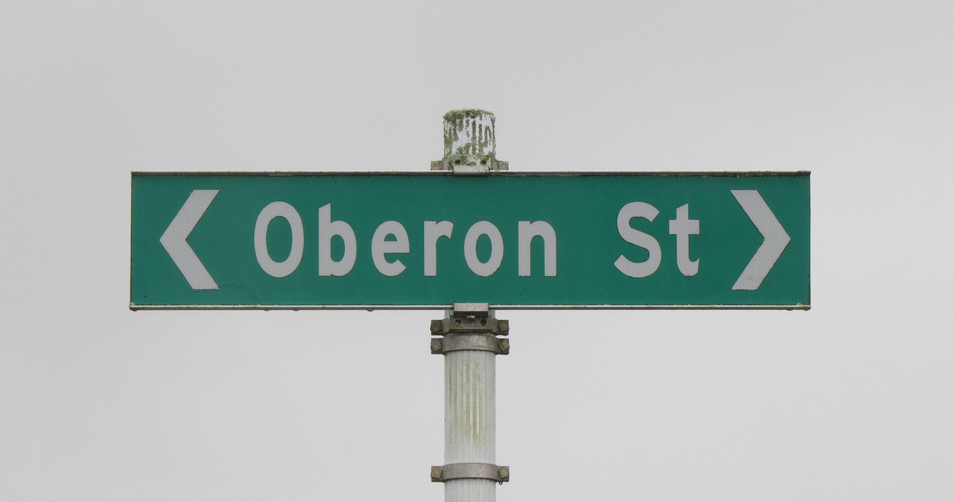 Oberon Street sign (2024). Rachel Sonius. Word on the Street image collection.