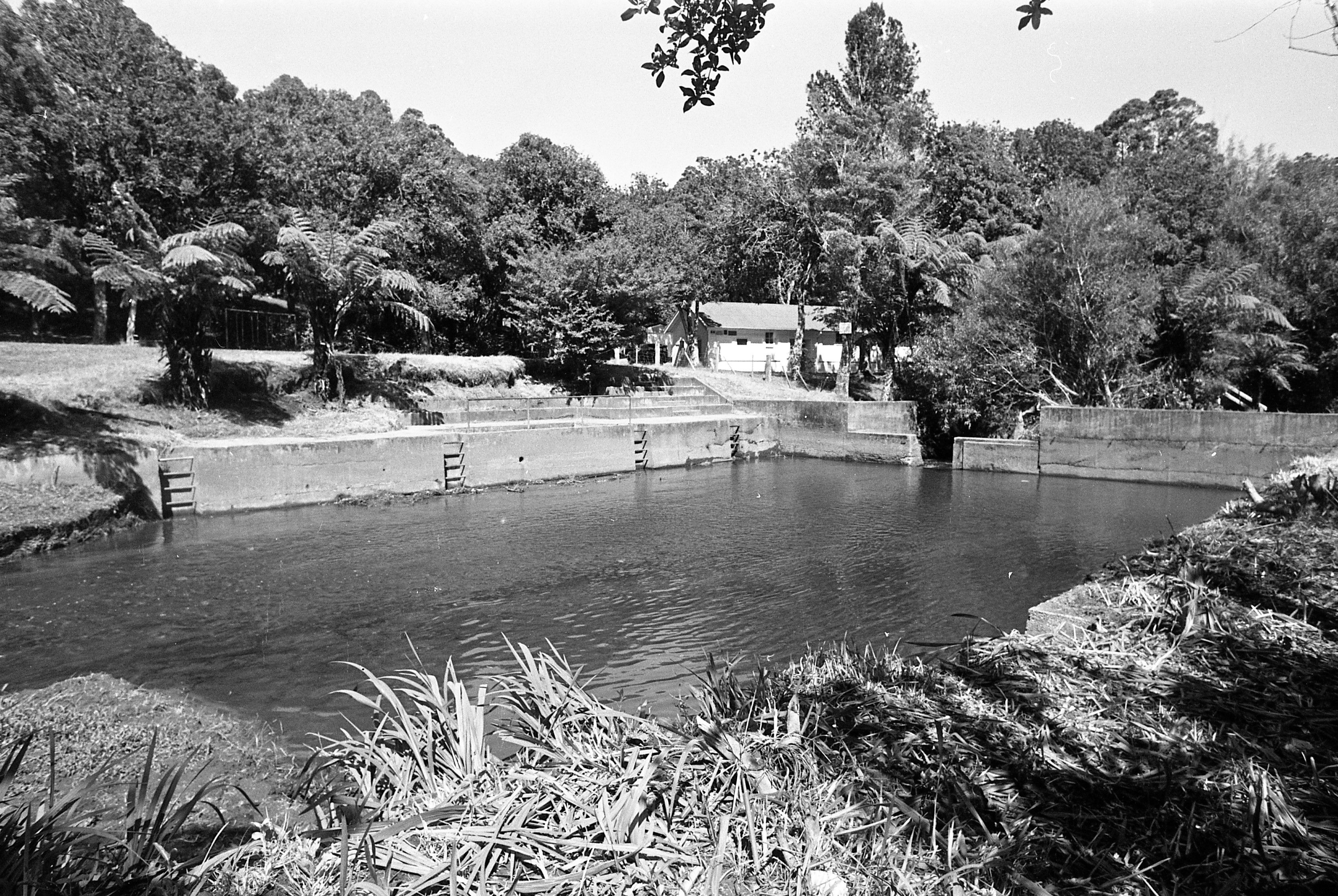 Huatoki Baths DN 9 Dec 1971