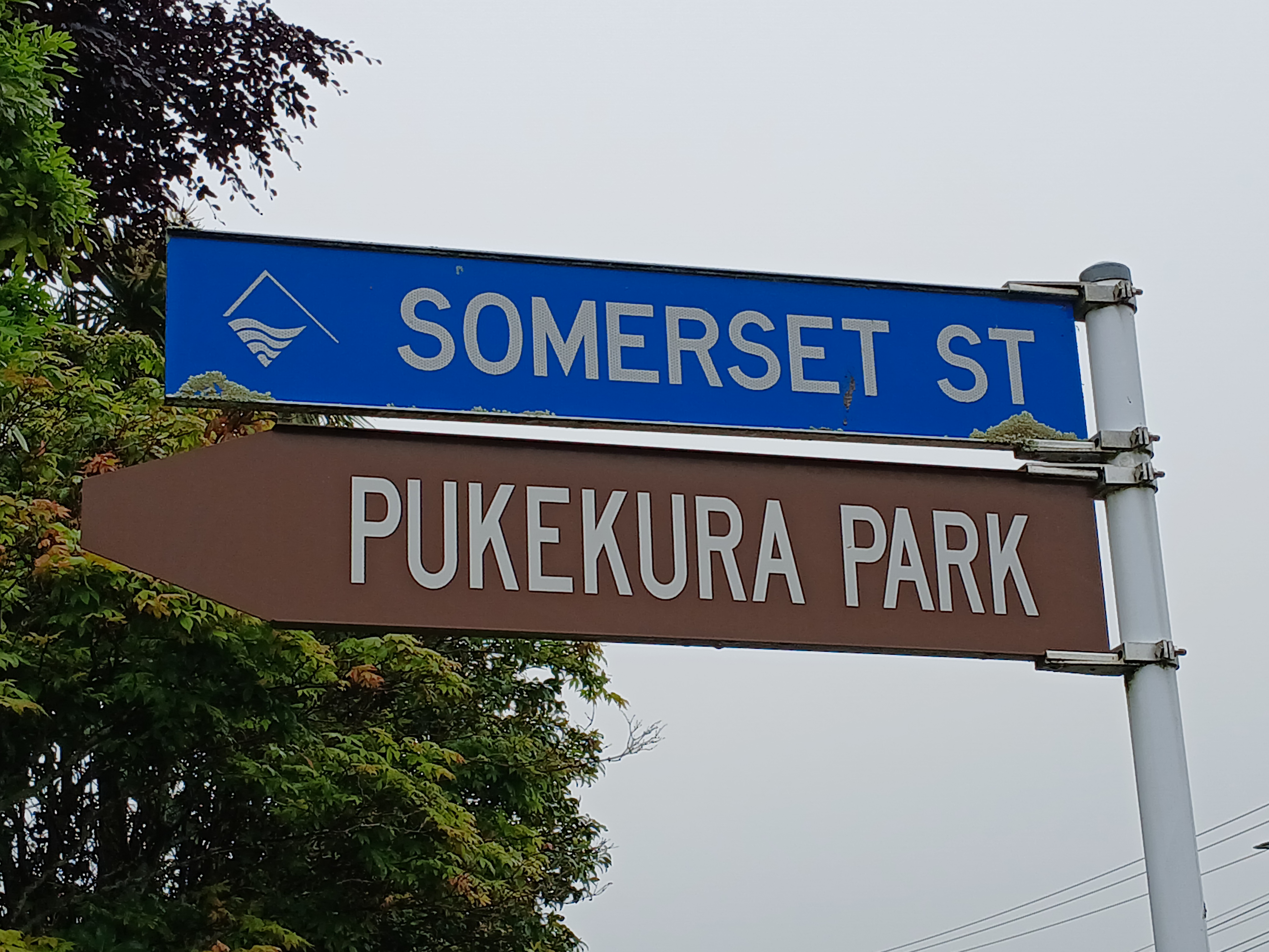 Somerset Street sign (2025). Helene Masse. Word on the Street image collection.