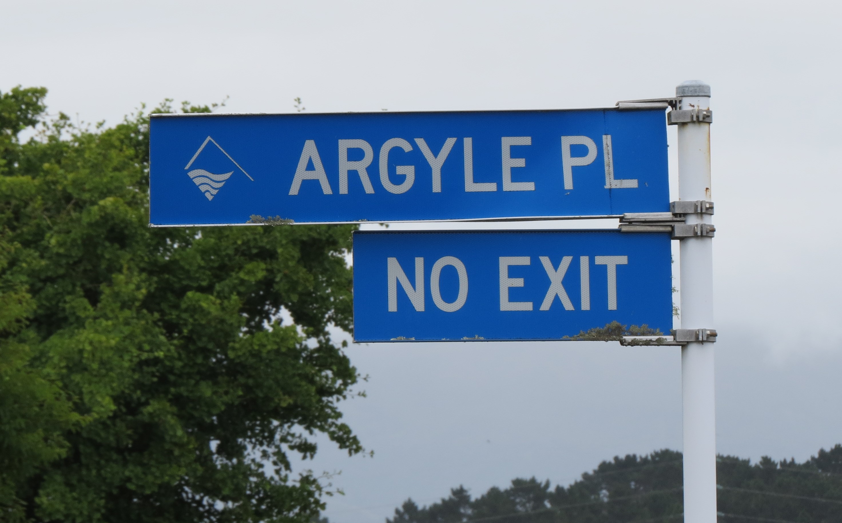 Argyle Place street sign (2024). Rachel Sonius. Word on the Street image collection.