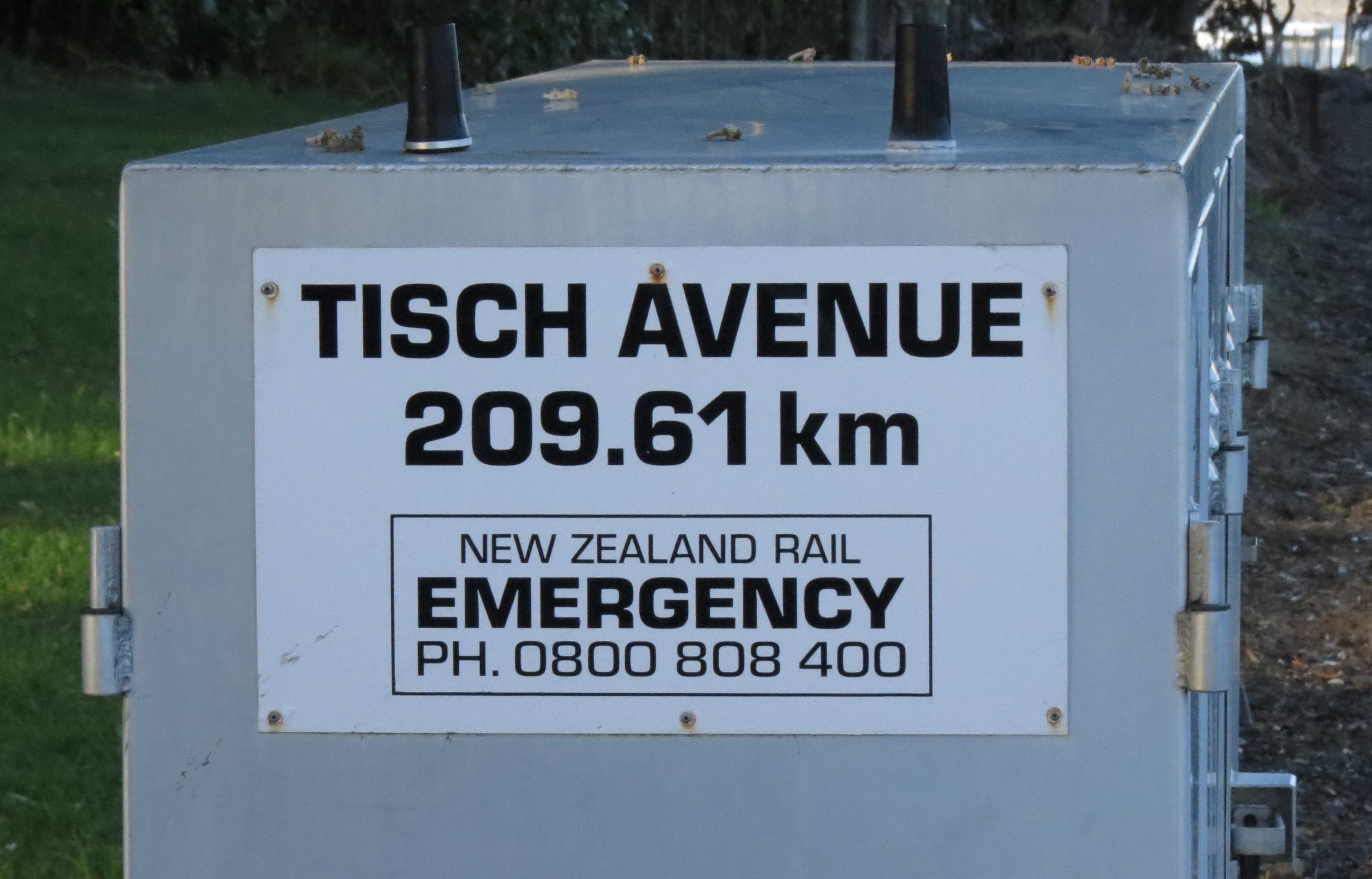 Tisch Avenue signal box (2020). Rachel Sonius. Word on the Street image collection.
