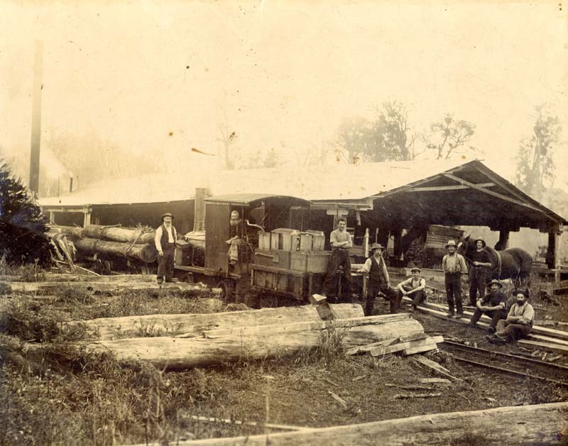 Sawmill Ngaere PHO2006 326