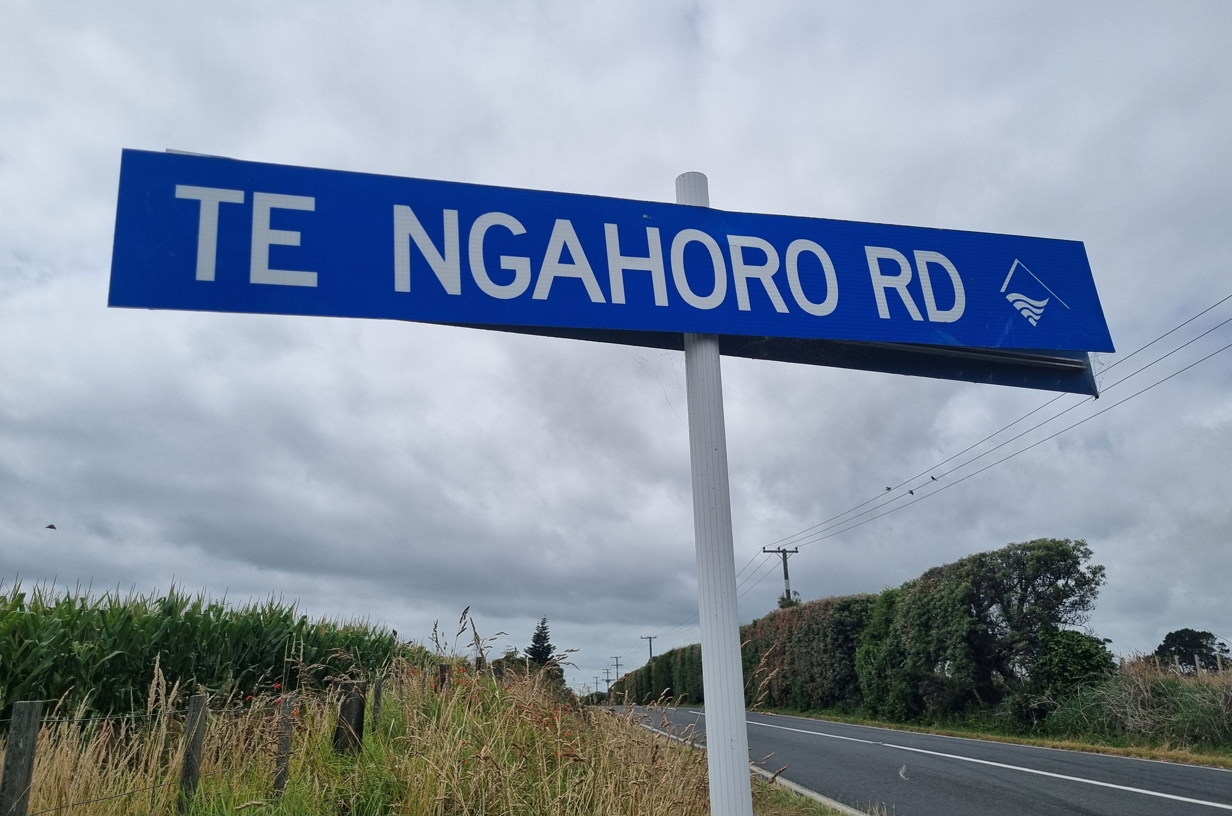 Te Ngahoro Rd Street Sign.